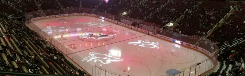 Desert Diamond Arena