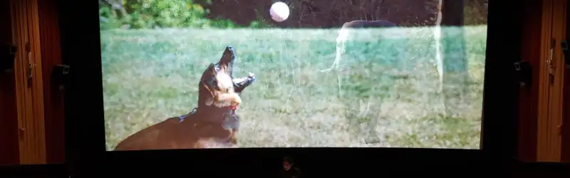 Cin&eacute;Bistro The Rotunda