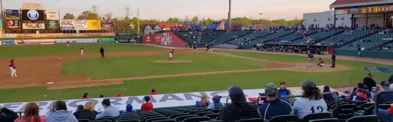 Southern Maryland Blue Crabs