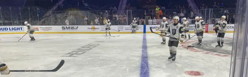 Henderson Silver Knights