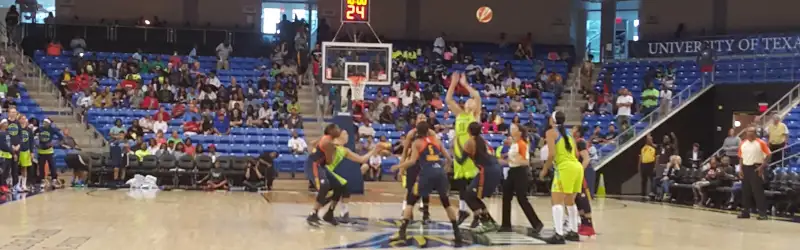 Dallas Wings