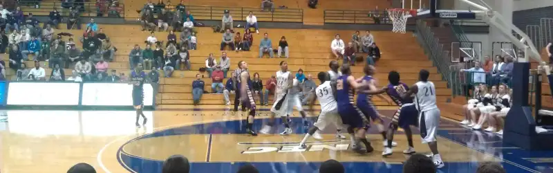 Mount St. Mary's Mountaineers