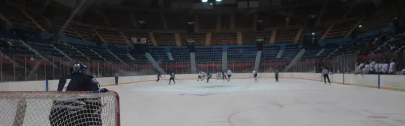 Lebanon Valley Flying Dutchmen