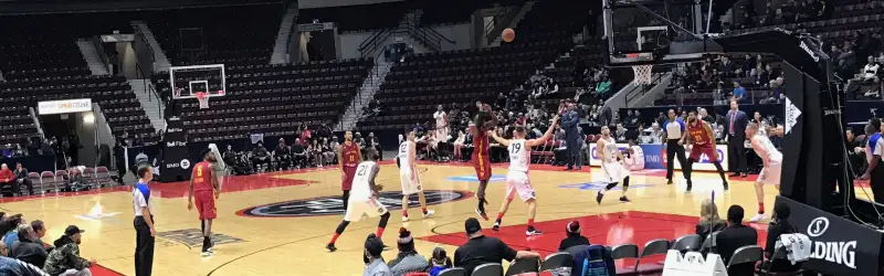 Raptors 905