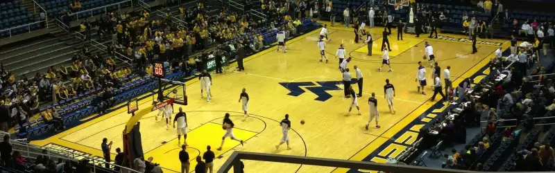 West Virginia Mountaineers