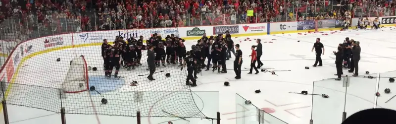 Ar&eacute;na Glencore