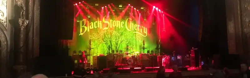Black Stone Cherry