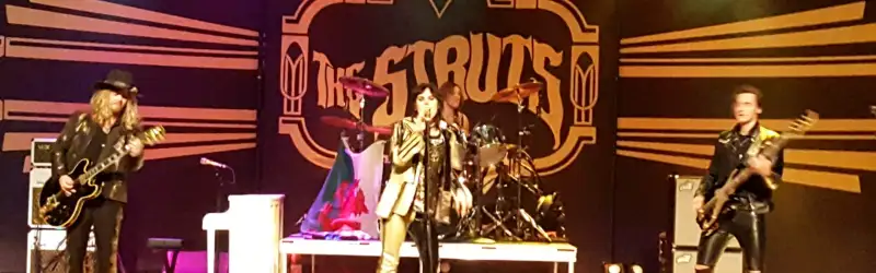 The Struts