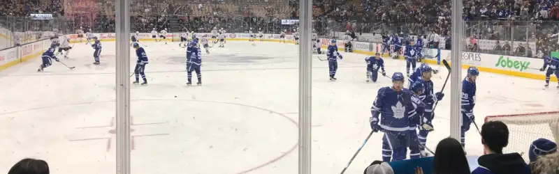 Toronto Maple Leafs