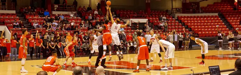 Northeastern Huskies