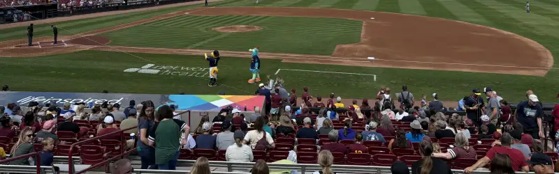 Neuroscience Group Field at Fox Cities Stadium