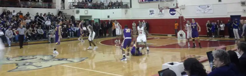 St. Francis College Terriers