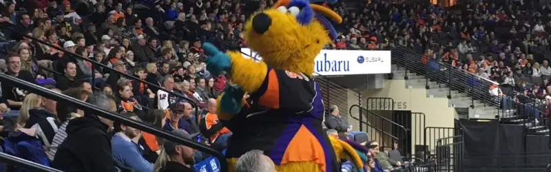 Lehigh Valley Phantoms