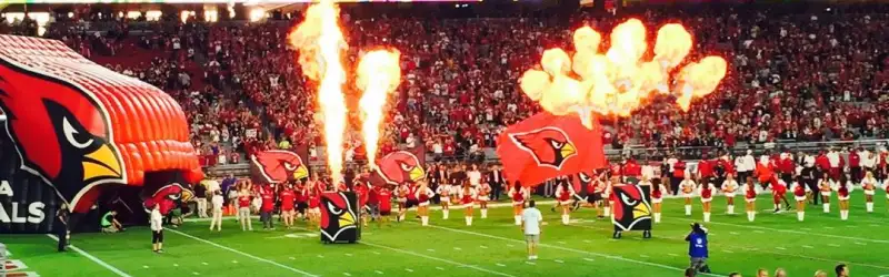 Arizona Cardinals