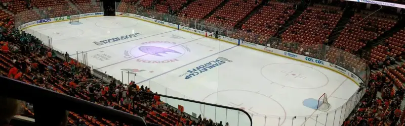 Honda Center