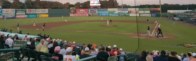 Delmarva Shorebirds
