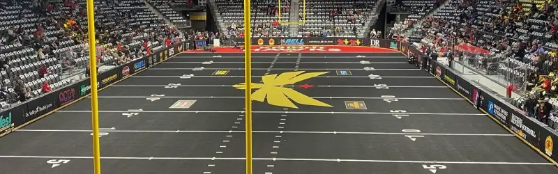 Vegas Knight Hawks