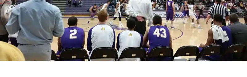 Niagara Purple Eagles