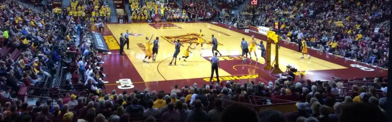 Minnesota Golden Gophers