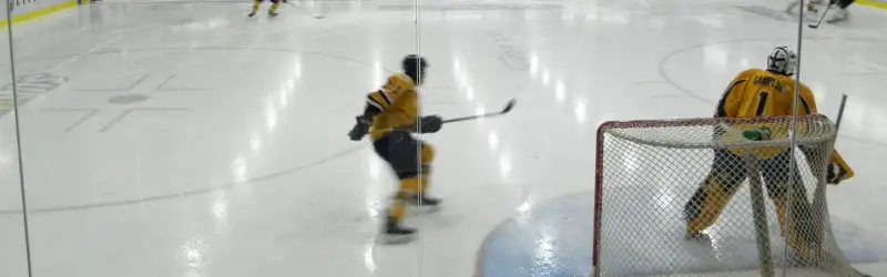 Victoriaville Tigres