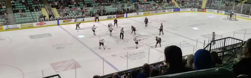 Marchant Crane Centrium