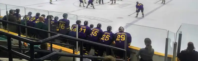 Wilfrid Laurier Golden Hawks