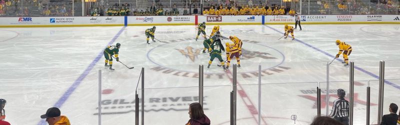 Mullett Arena