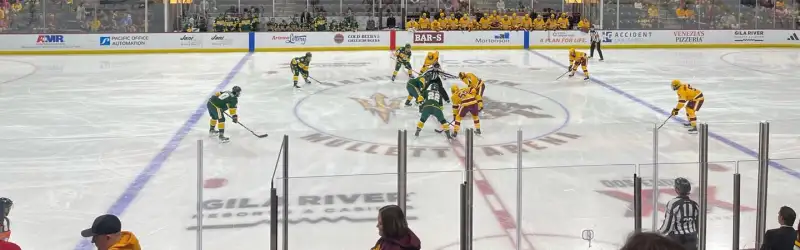 Mullett Arena