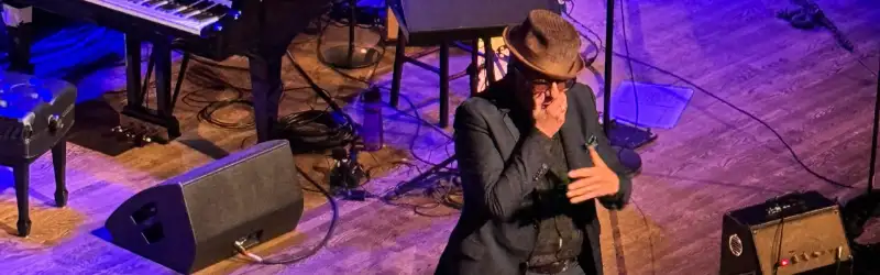 Elvis Costello