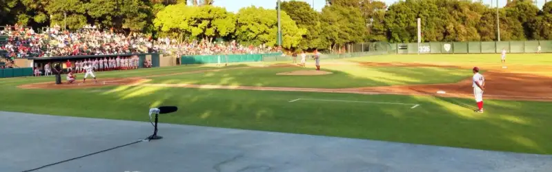 Stanford Cardinal
