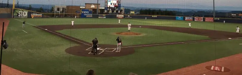 West Virginia Black Bears