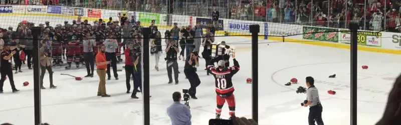 Grand Rapids Griffins