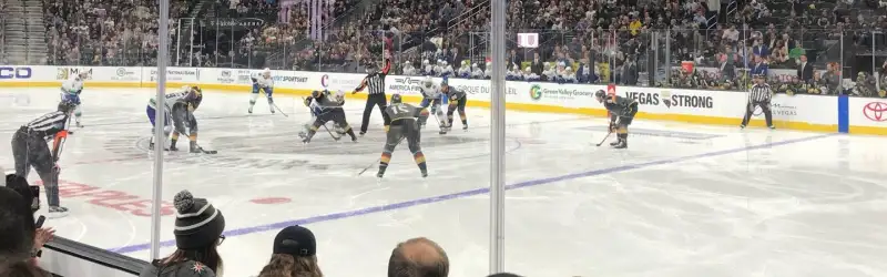 Vegas Golden Knights