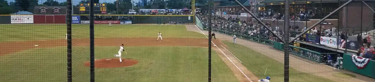 Visalia Rawhide