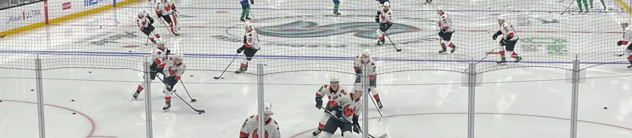 Coachella Valley Firebirds