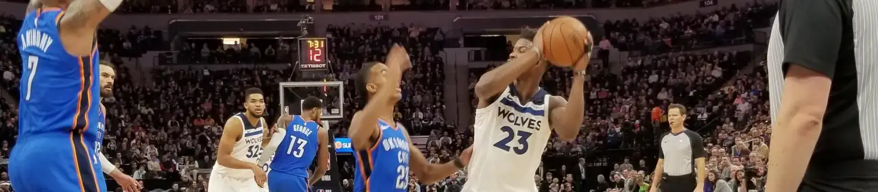 Minnesota Timberwolves
