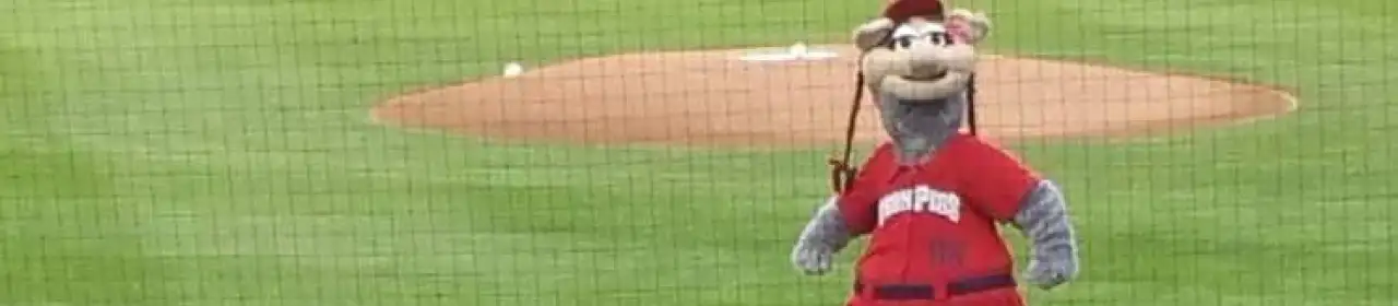 lehigh valley ironpigs