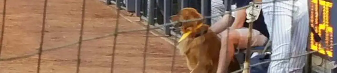 Trenton Thunder Ballpark