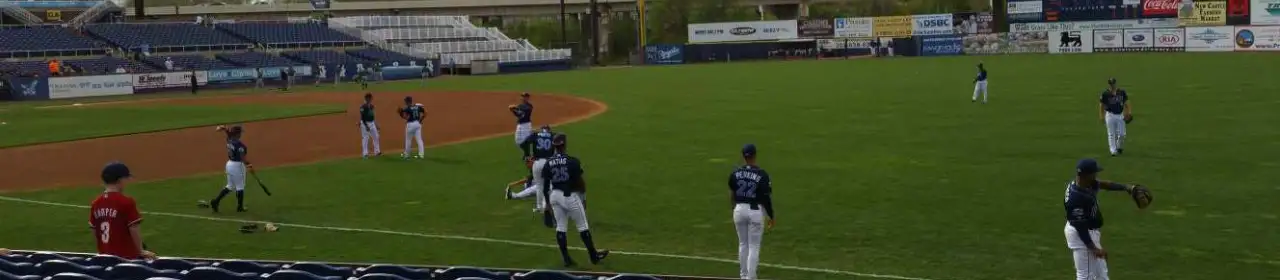 Wilmington Blue Rocks