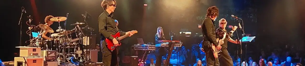 The Psychedelic Furs