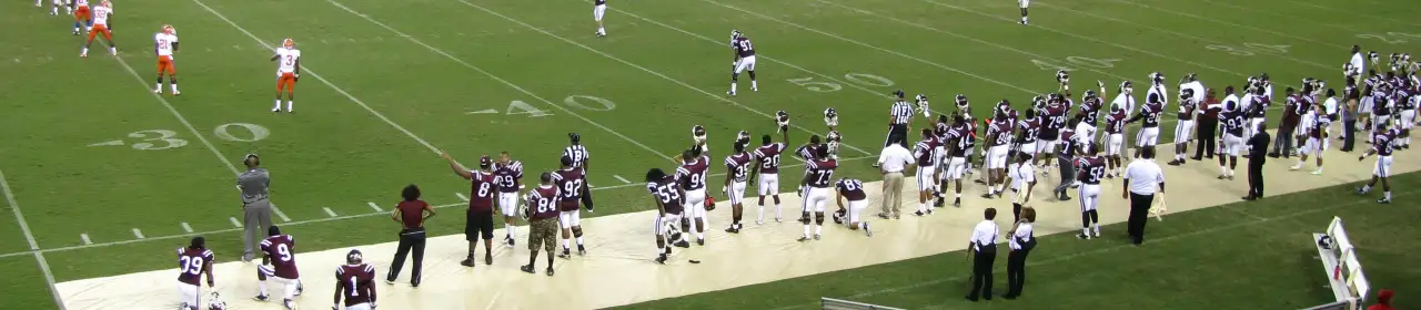 Texas Southern Tigers