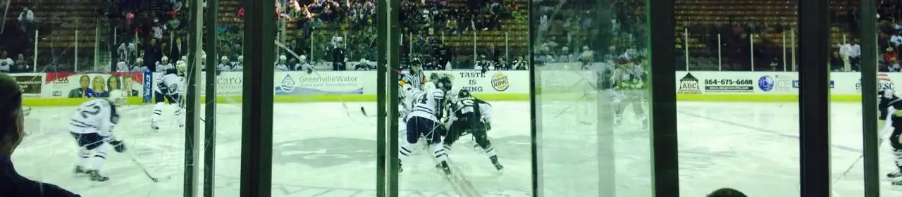 Greenville Swamp Rabbits