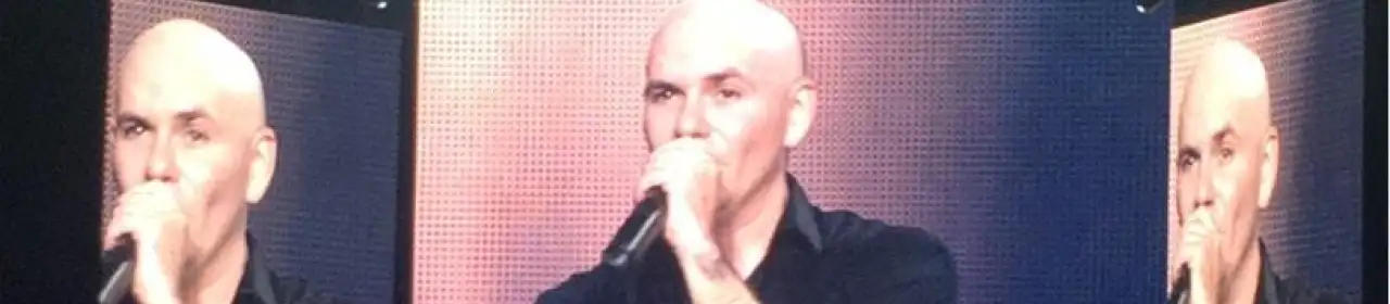 Pitbull