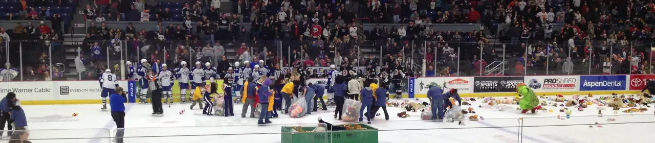 Upstate Medical University Arena