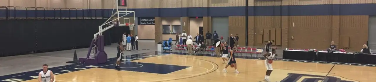 Dalton State Roadrunners