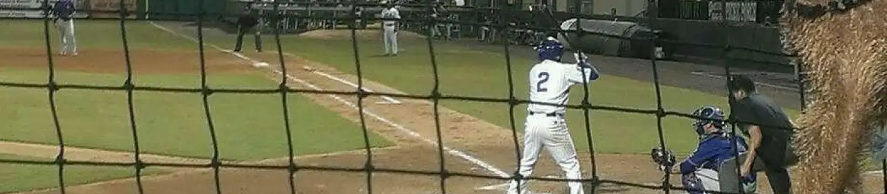 Jackie Robinson Ballpark