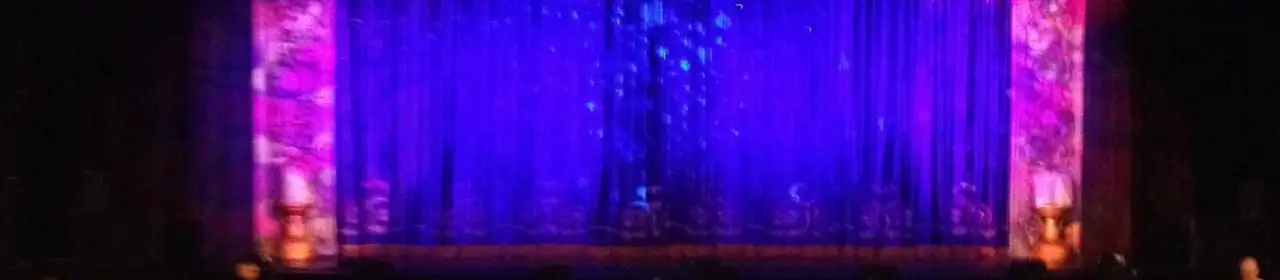 Disney Princesses Live