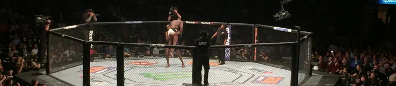 mgm grand garden arena