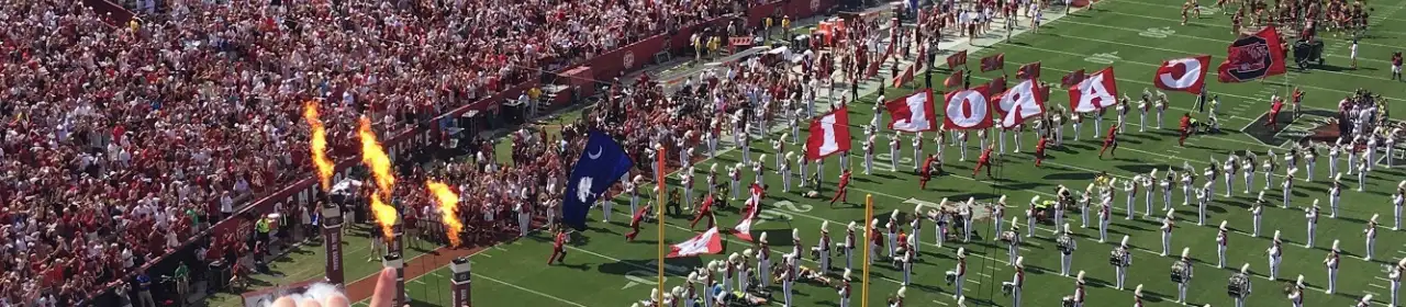 Williams-Brice Stadium