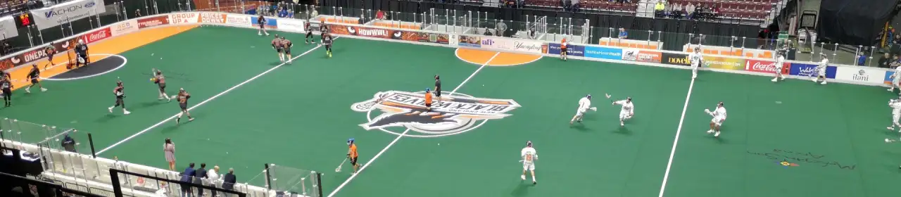 New England Black Wolves